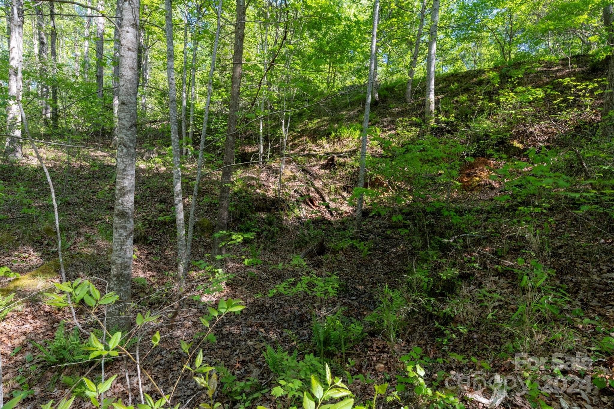 Lot at 99999 Shady Bark Lane, Rutherfordton, photo 16 of 32