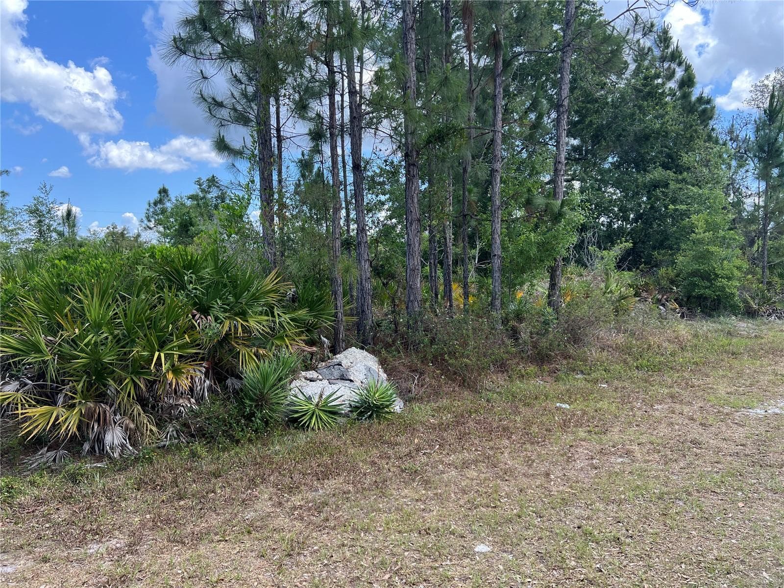 506 MAGNOLIA DR