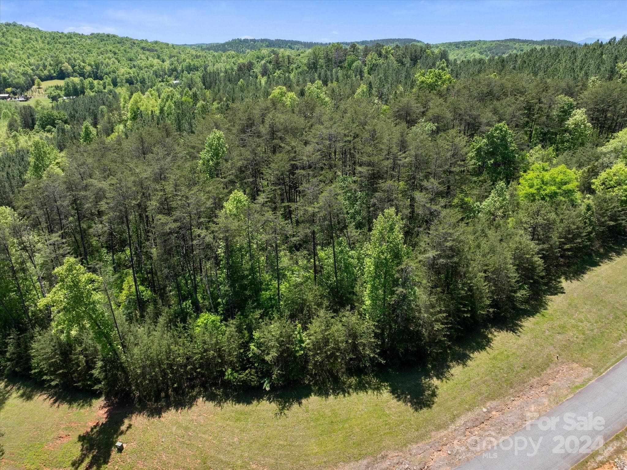 Lot at 99999 Hickory Loop, Rutherfordton, photo 12 of 14