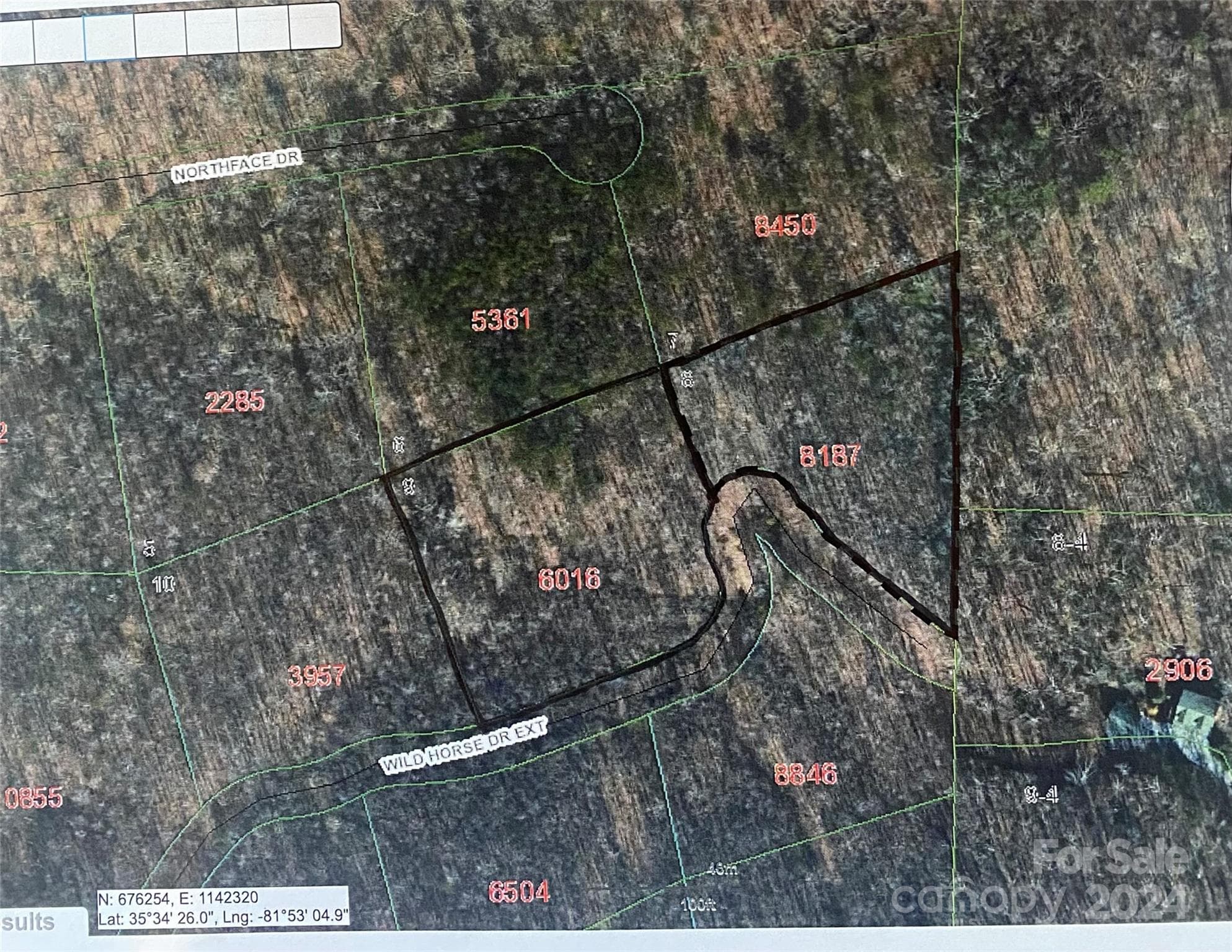 Lot at Nebo, photo 21 of 21