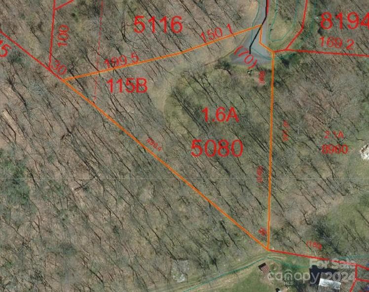 GIS Aerial - Waynesville