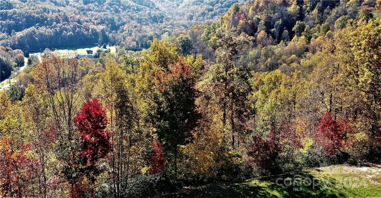 Another Drone View Photo - Waynesville