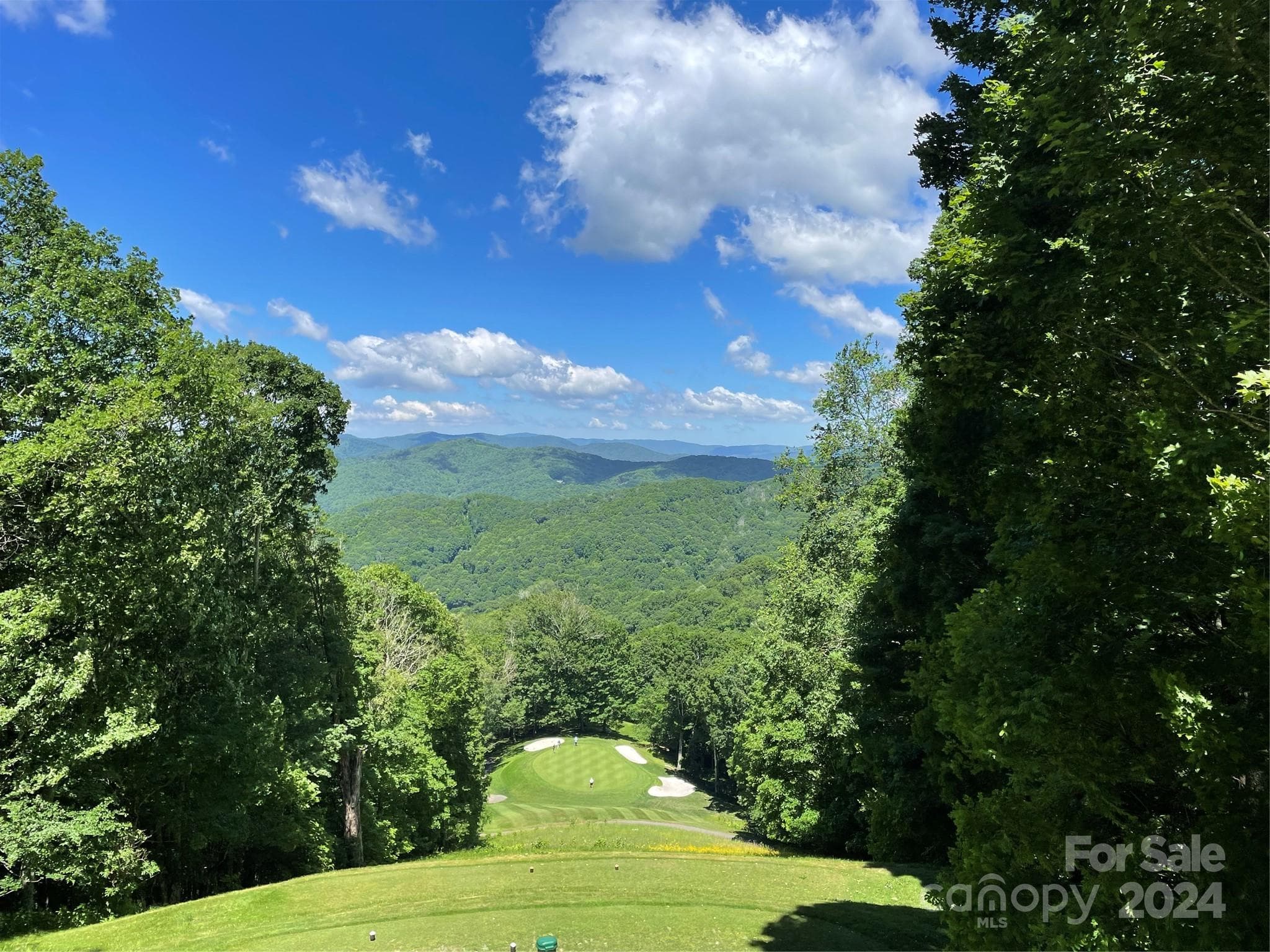Lot at Mars Hill, photo 18 of 22