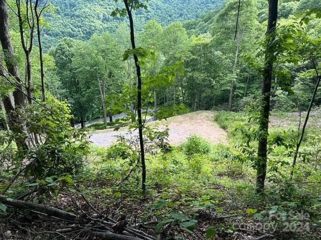 Lot at Waynesville, photo 6 of 10
