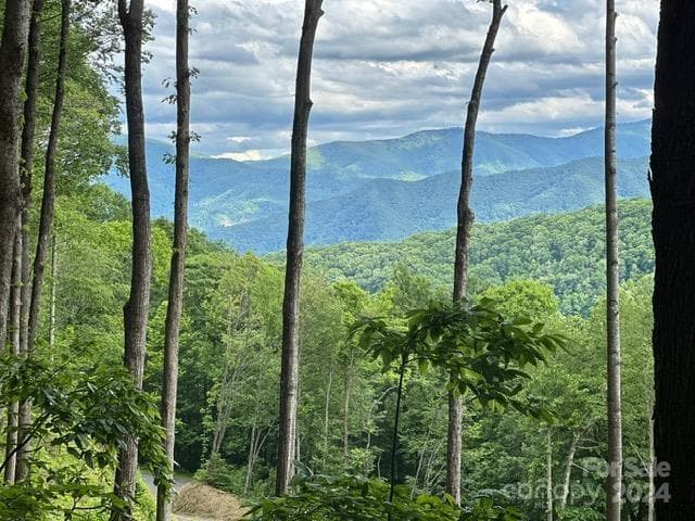 Lot at Waynesville, photo 7 of 10