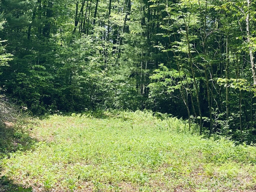 Lot at 34 Grouse Haven Lane, Sylva, photo 8 of 32