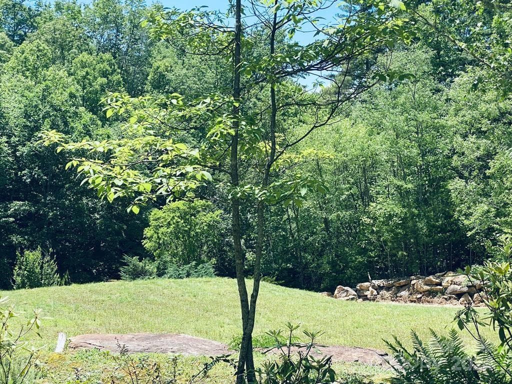 Lot at 34 Grouse Haven Lane, Sylva, photo 28 of 32