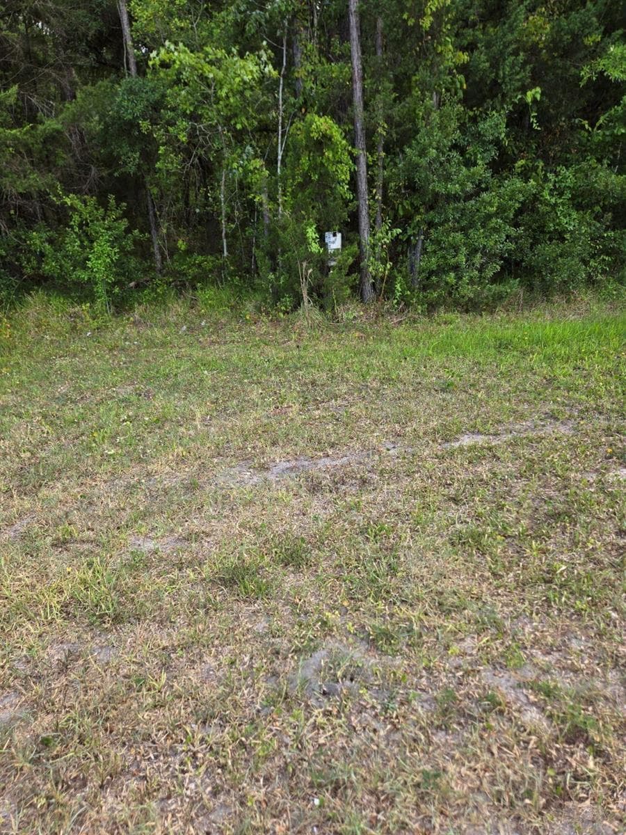Land at 1925 CR-13, BUNNELL, photo 6 of 8