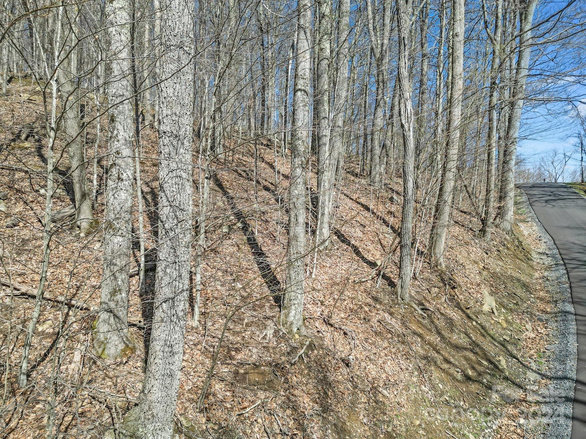 Lot at 10 Chestnut Village Lane, Mars Hill, photo 12 of 42