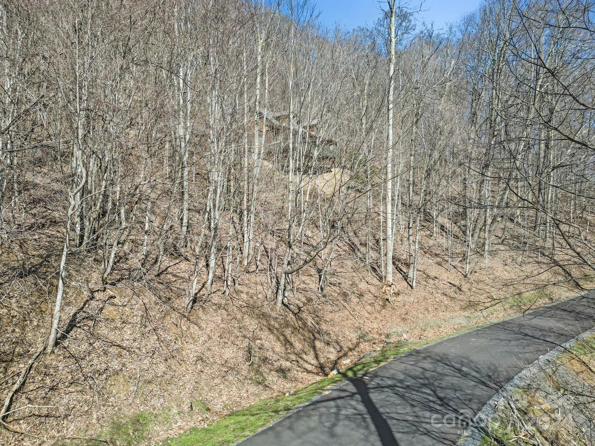 Lot at 10 Chestnut Village Lane, Mars Hill, photo 16 of 42