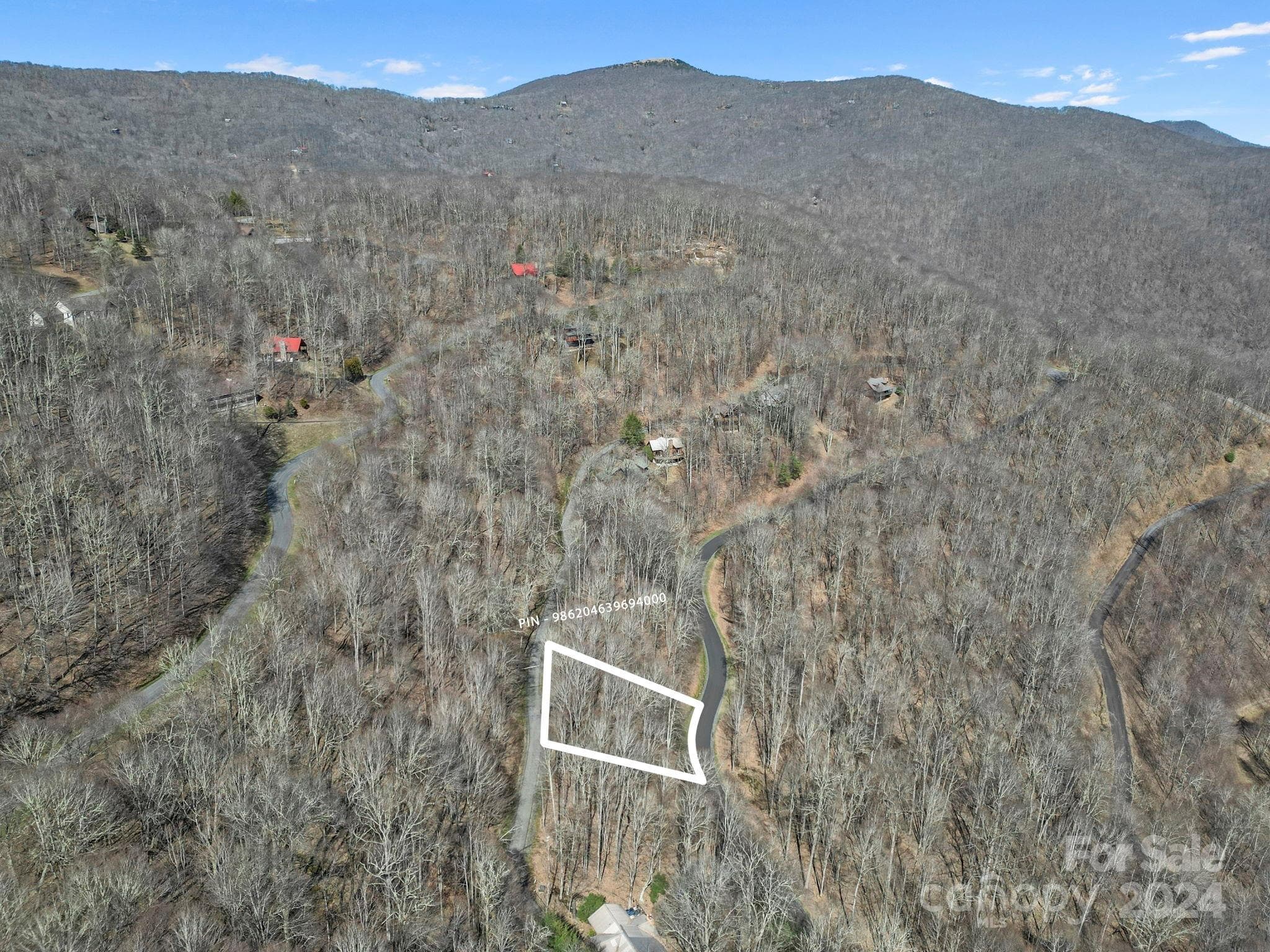 Lot at 10 Chestnut Village Lane, Mars Hill, photo 18 of 42