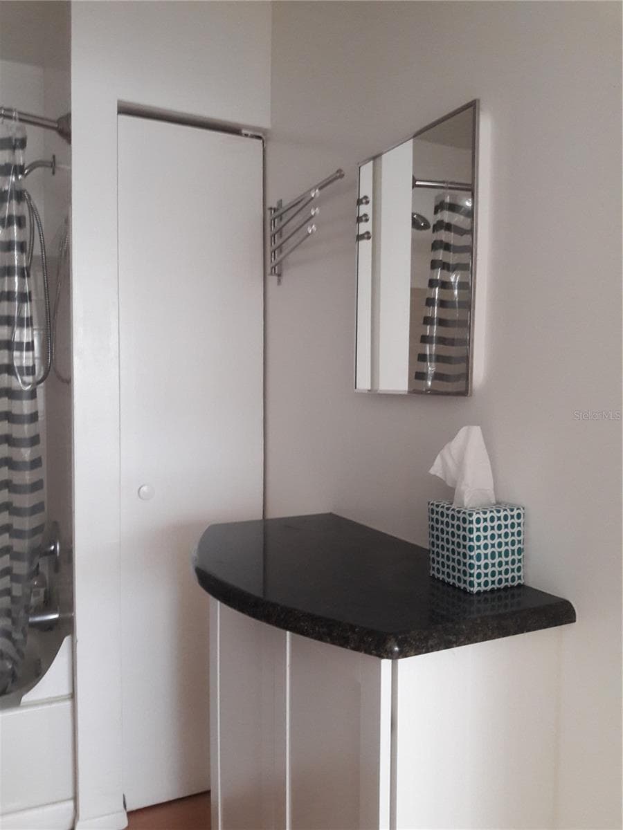 Bath + linen closet - 101 LAKE AVE NE #222, LARGO