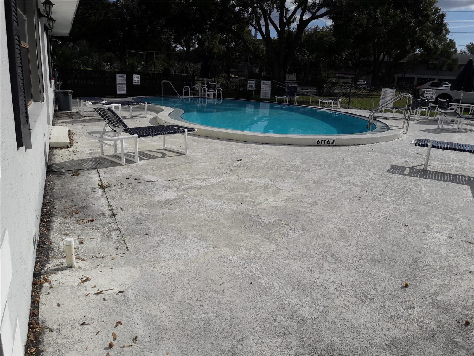 private pool new tile private pool w/new paver covered deck - 101 LAKE AVE NE #222, LARGO