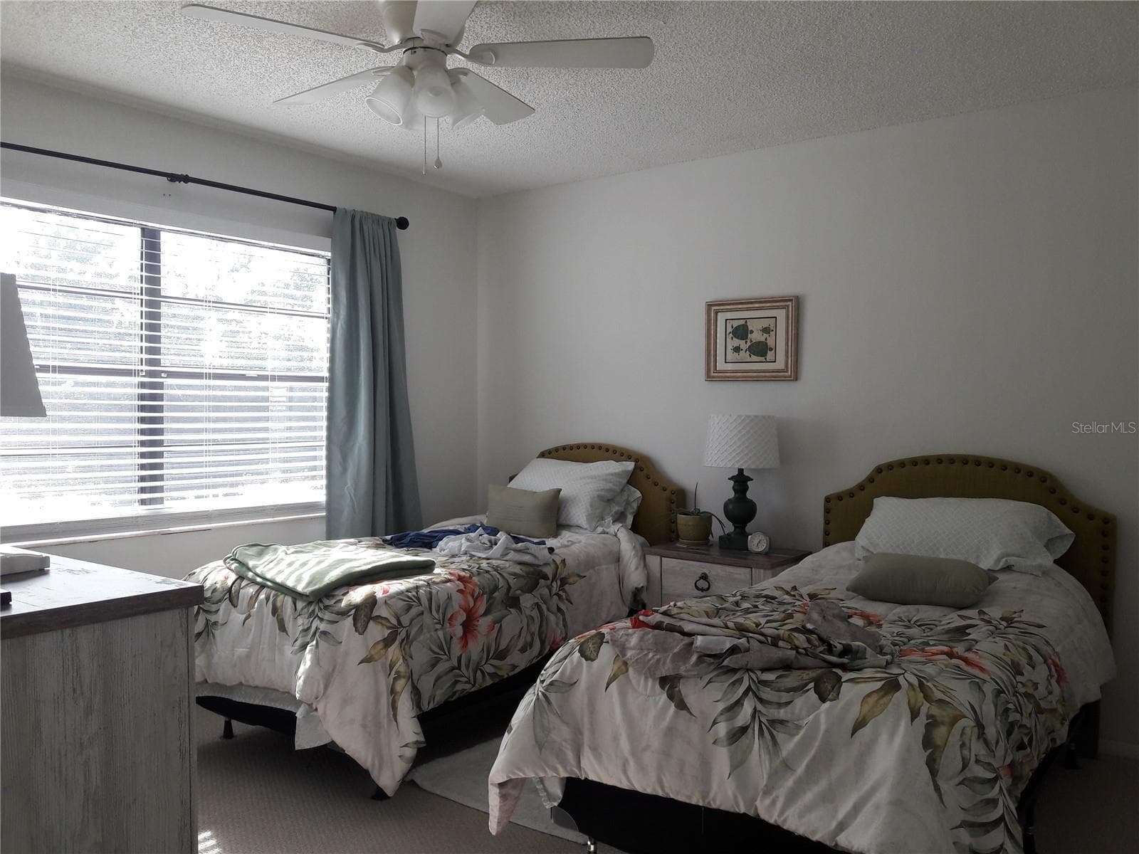 large master natural lite - 101 LAKE AVE NE #222, LARGO