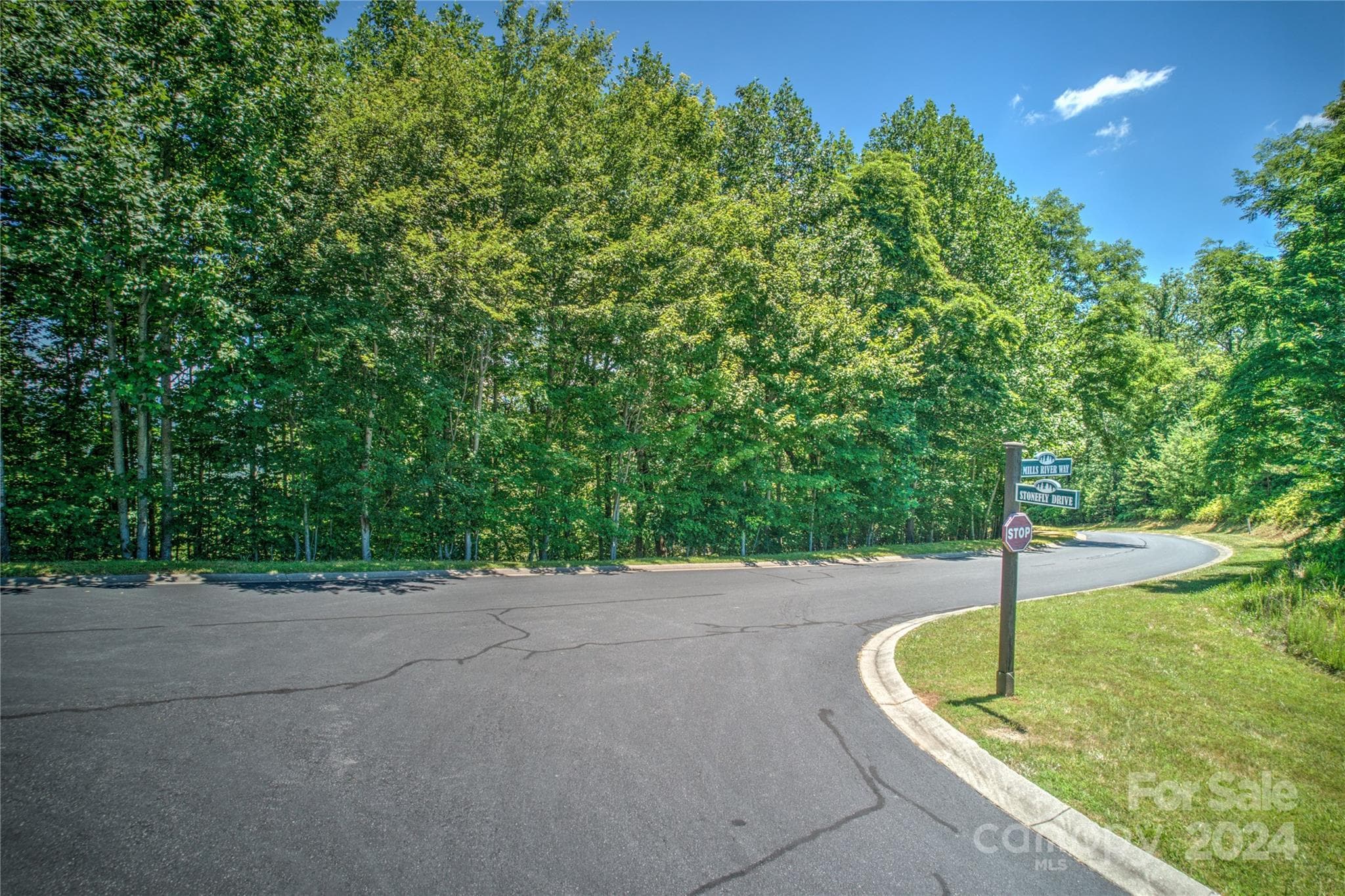 Road Frontage - 1018 Mills River Way, Horse Shoe