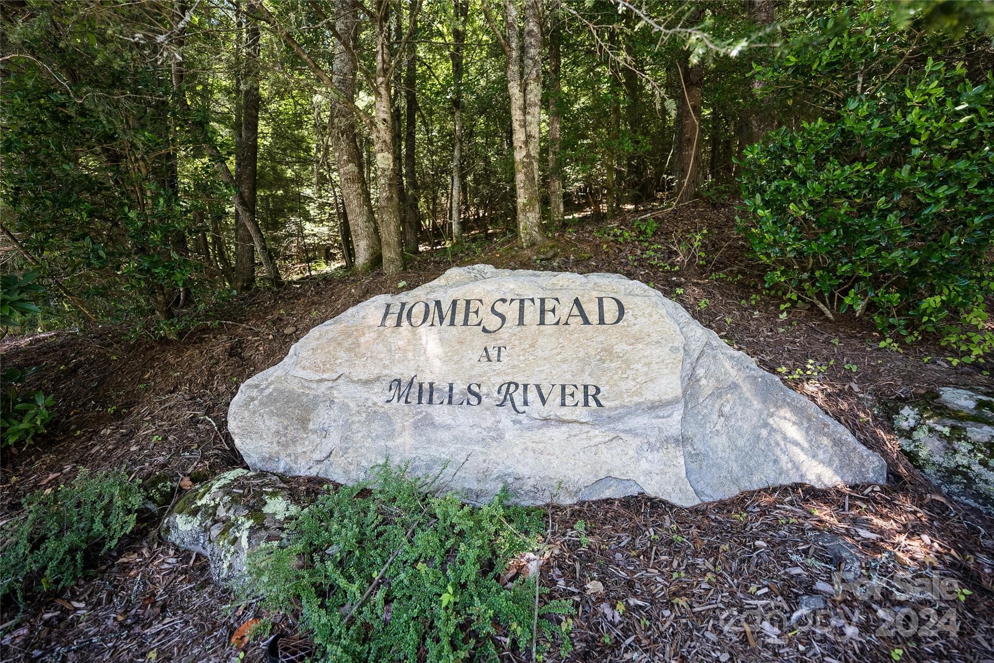 Lot at Horse Shoe, photo 4 of 17