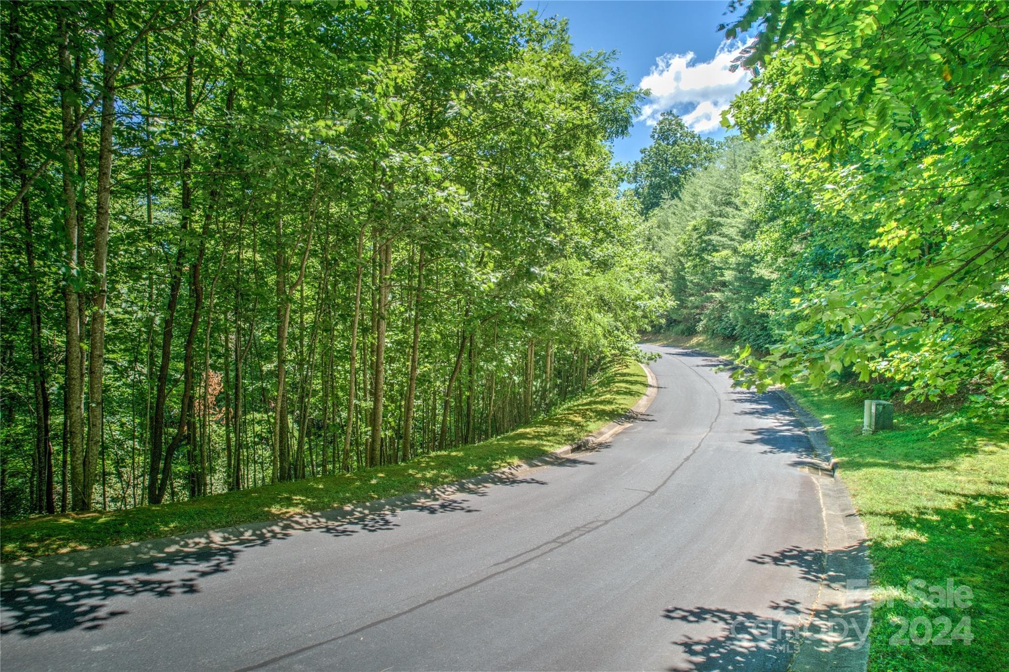 Lot at Horse Shoe, photo 9 of 17
