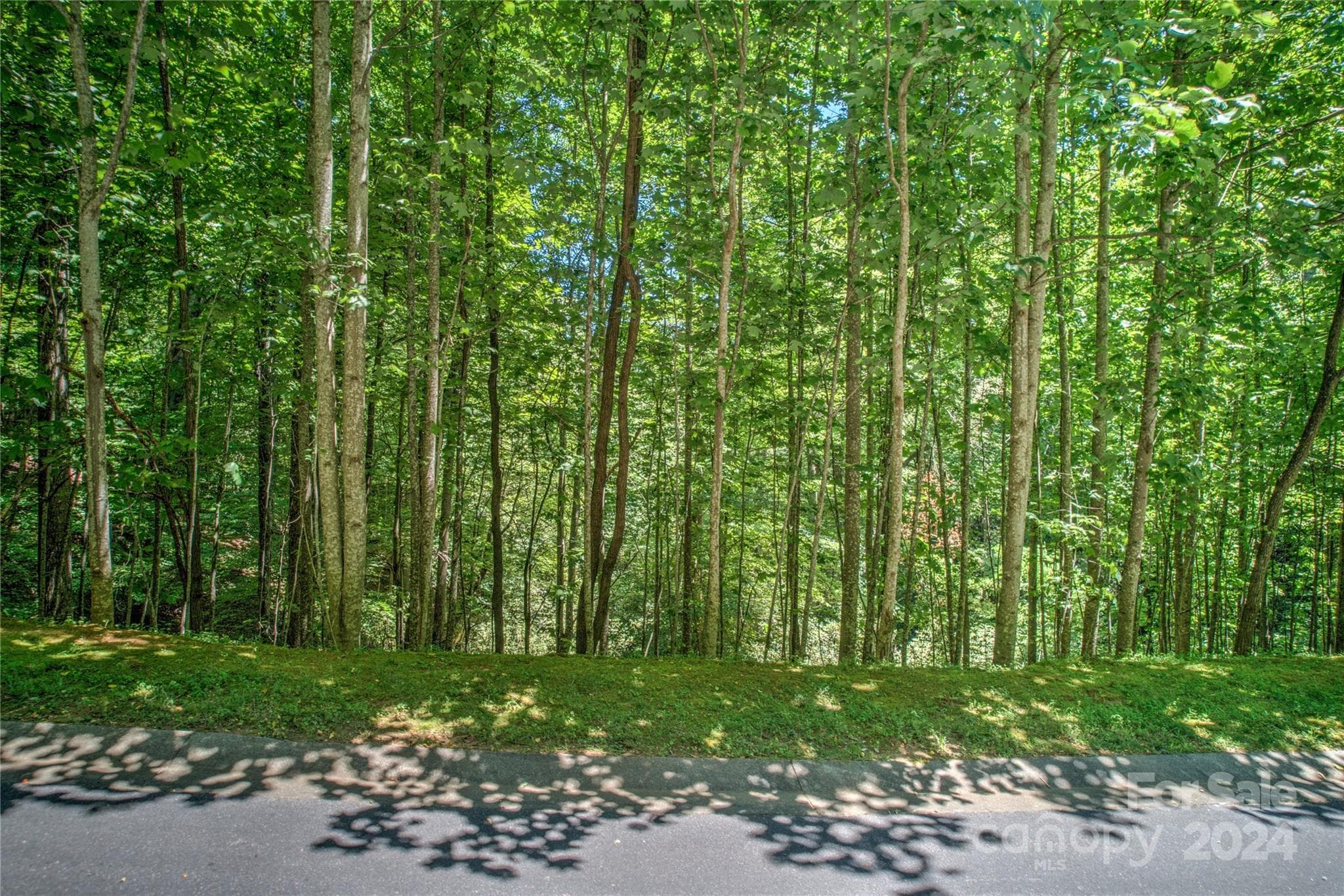 Lot at Horse Shoe, photo 10 of 17