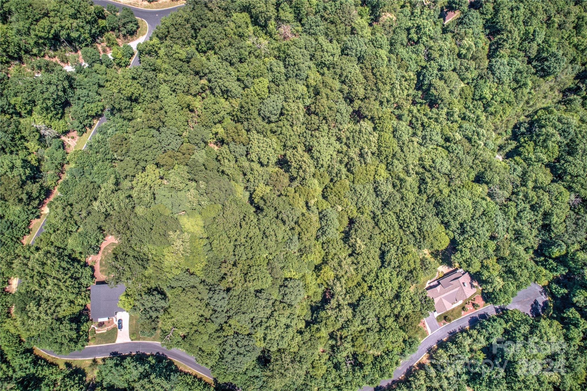 Lot at Horse Shoe, photo 13 of 17