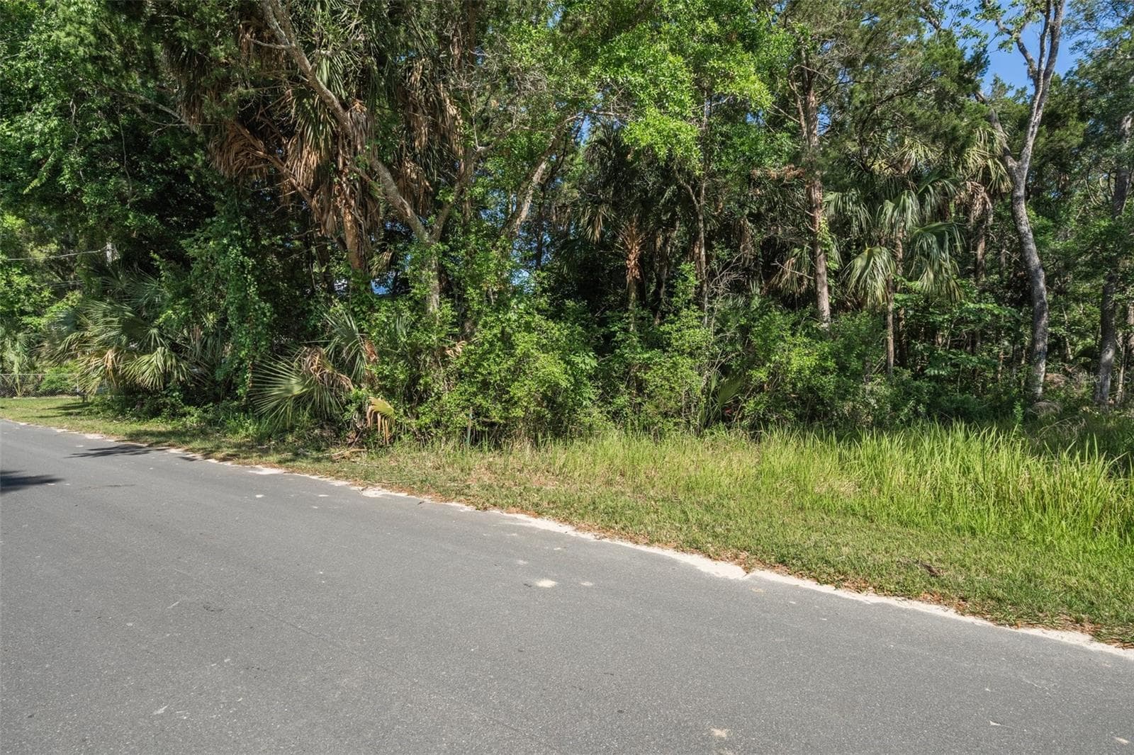 Street View - 11681 W NORTH PL, HOMOSASSA