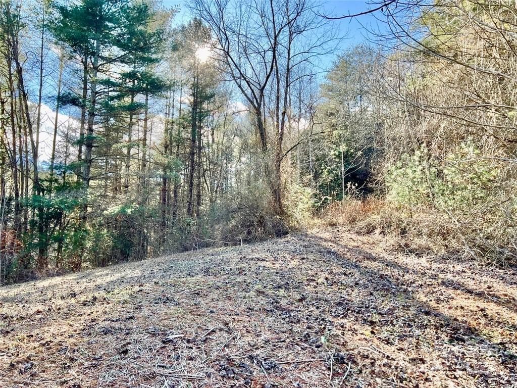 Part of cleared area on lot - Lenoir