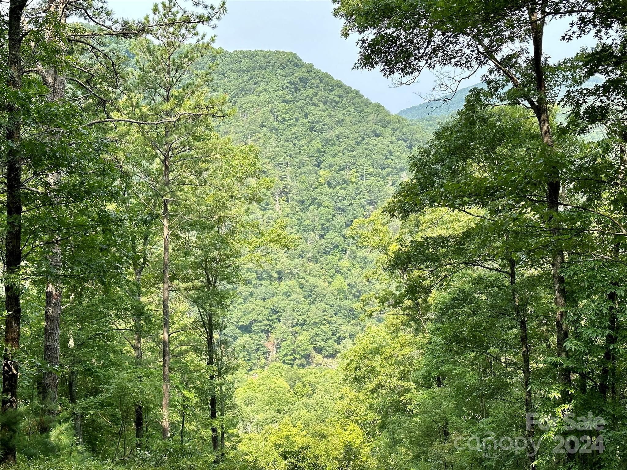 Lot at 151 Wild Turkey Loop, Marshall, photo 2 of 26