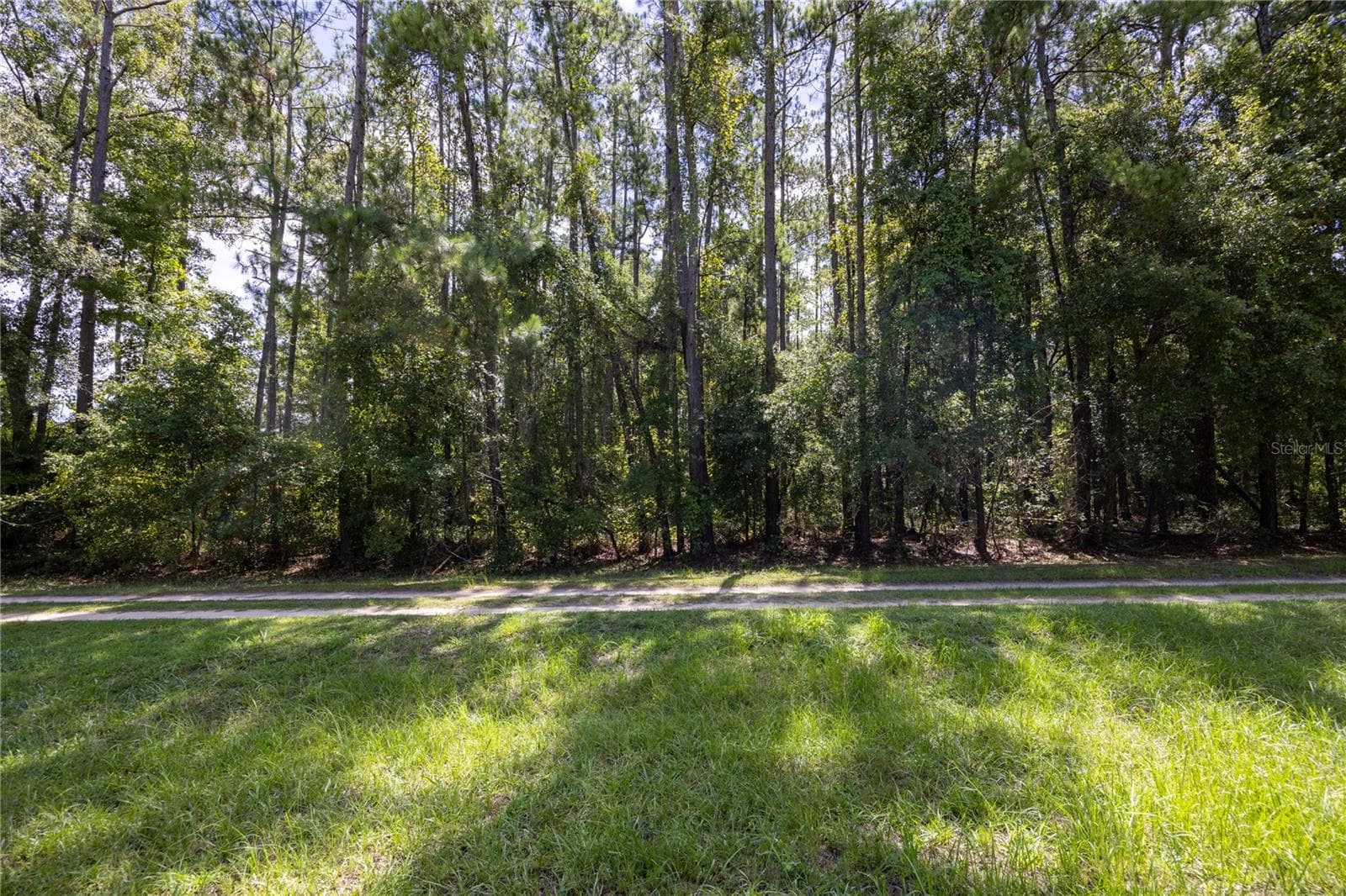 Land at 0 SE HAWTHORNE RD, HAWTHORNE, photo 4 of 23