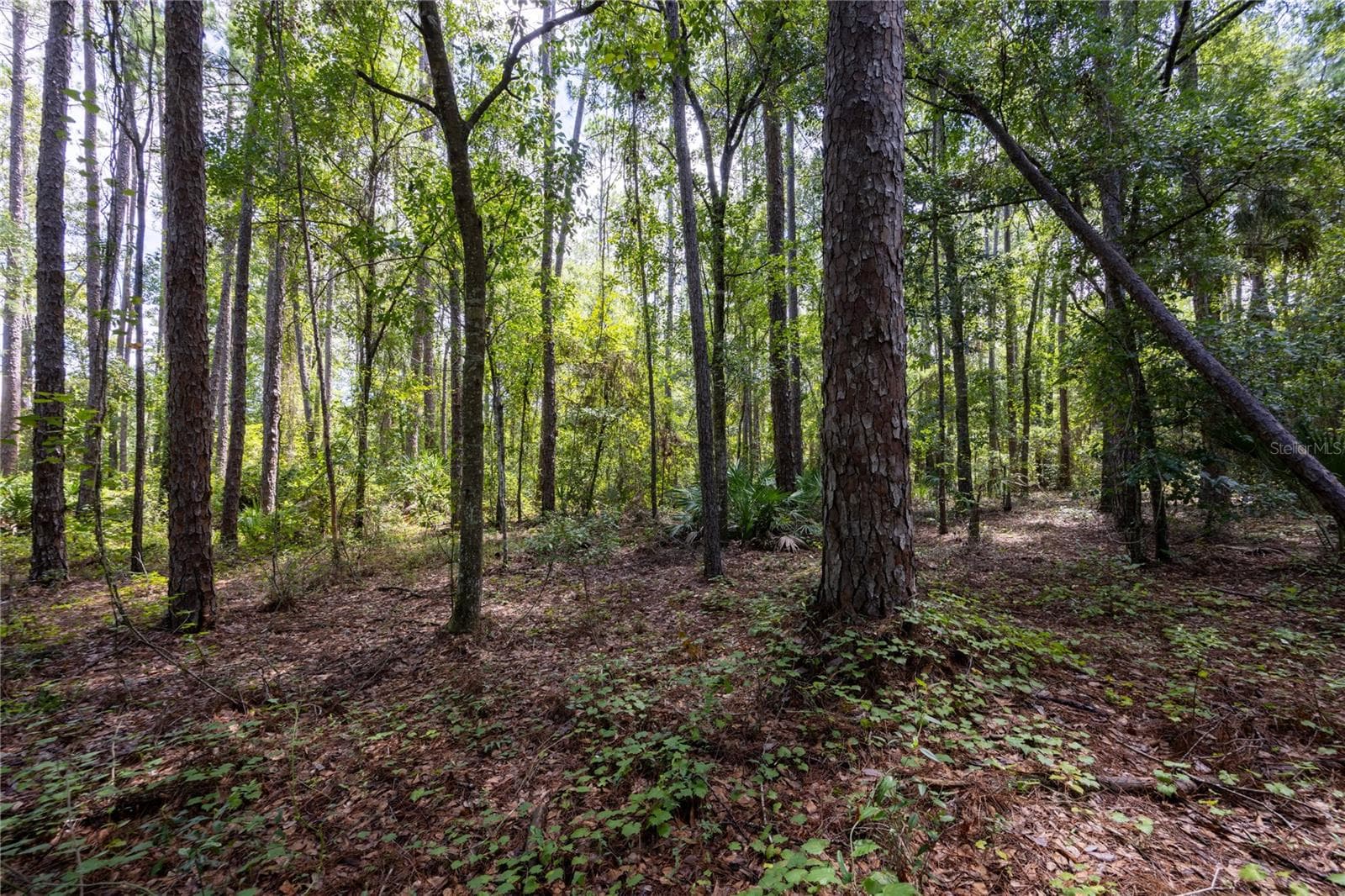 Land at 0 SE HAWTHORNE RD, HAWTHORNE, photo 5 of 23