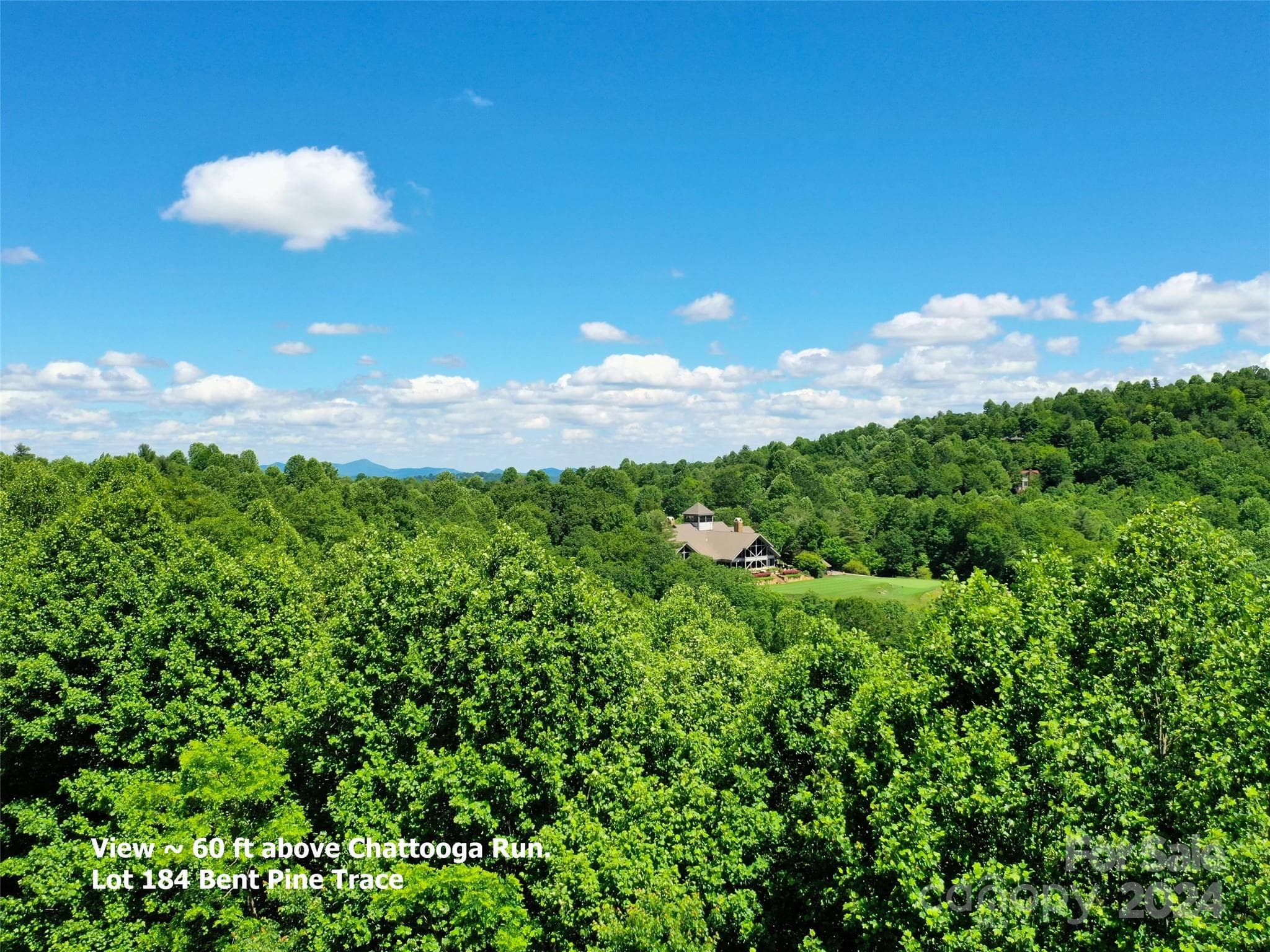 Lot at Hendersonville, photo 2 of 41