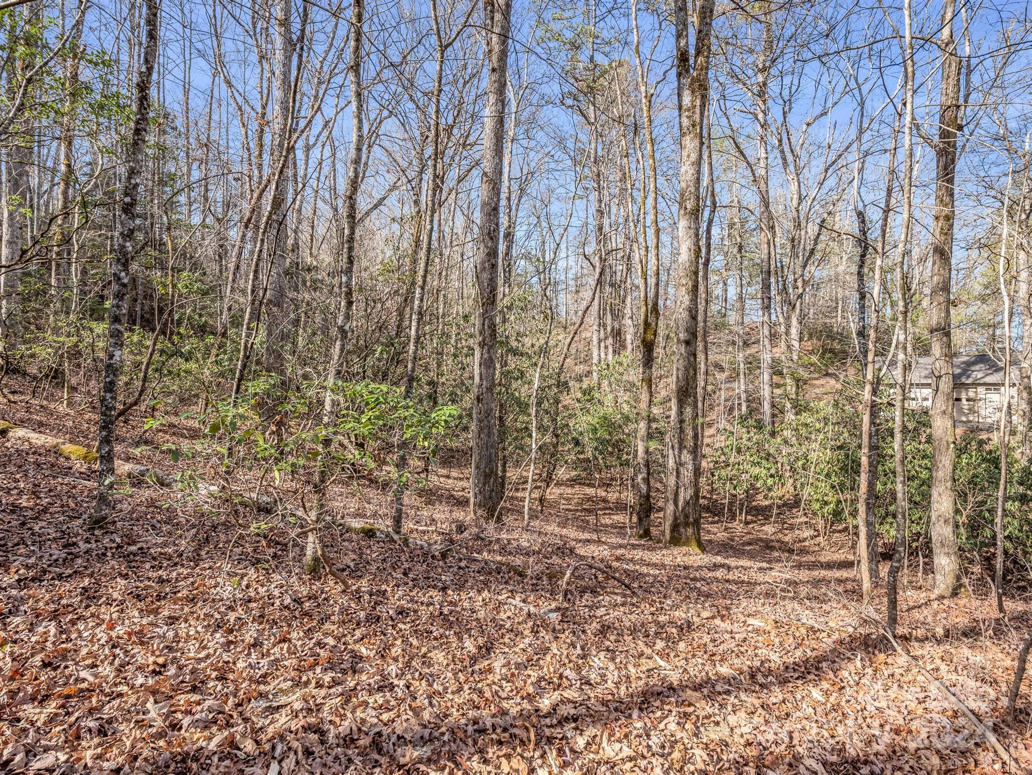 gentle sloping topography nearest to lake - Brevard