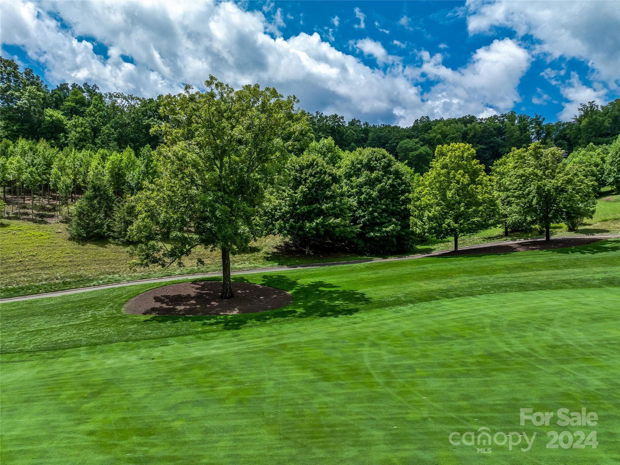Lot at Arden, photo 15 of 33