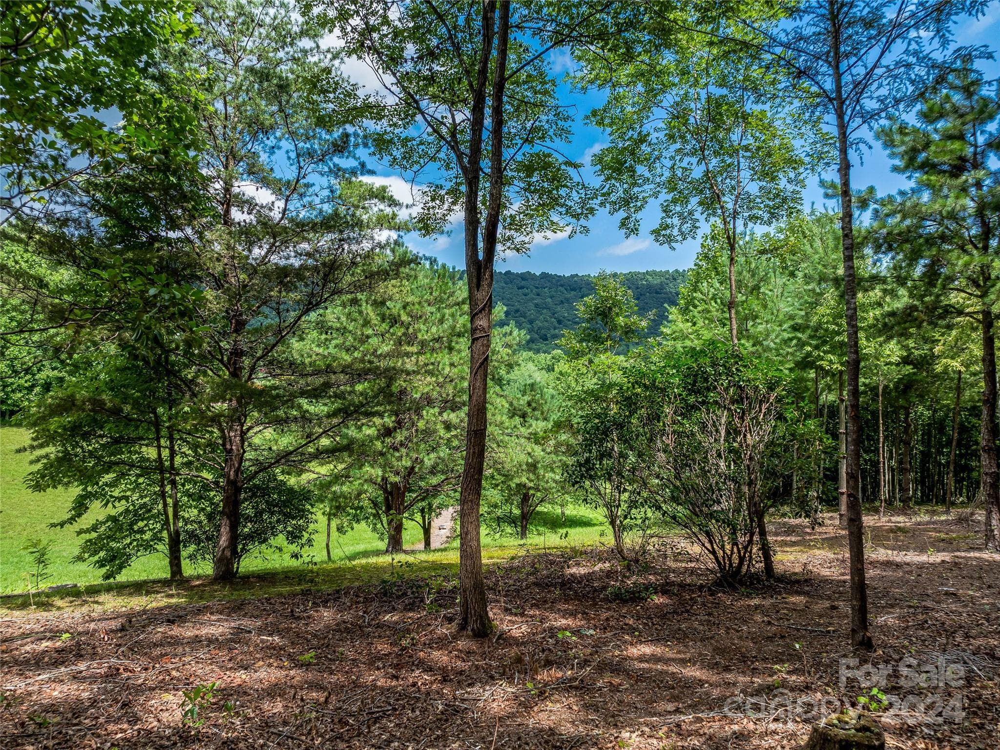 Lot at Arden, photo 18 of 33