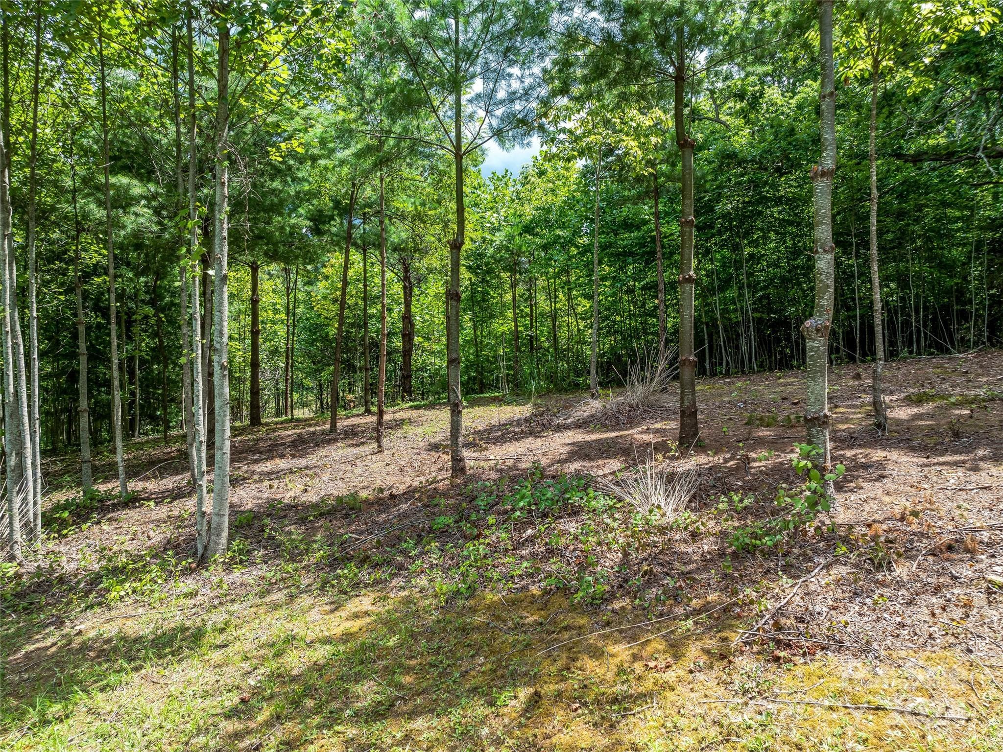 Lot at Arden, photo 20 of 33