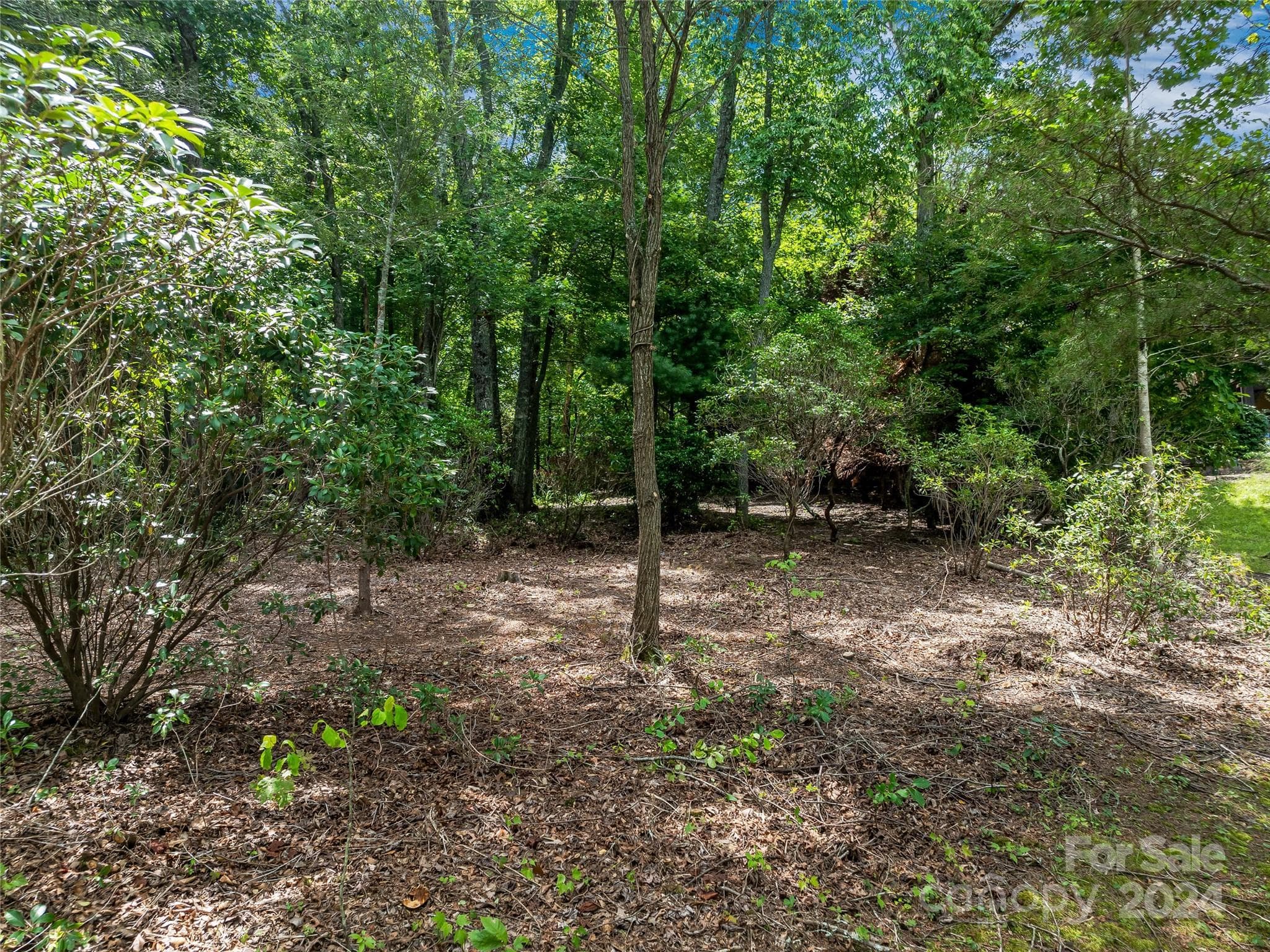 Lot at Arden, photo 21 of 33
