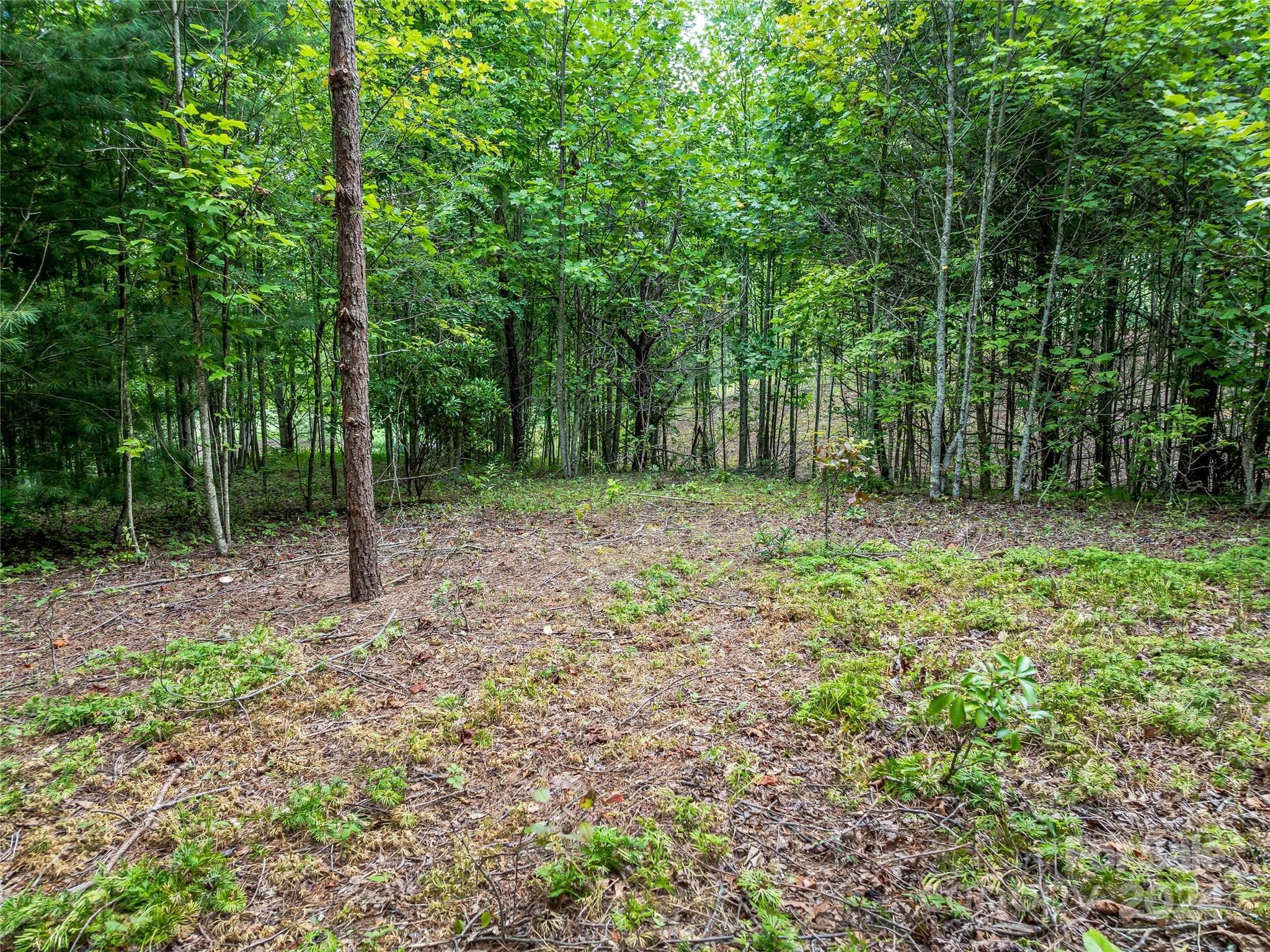 Lot at Arden, photo 25 of 33