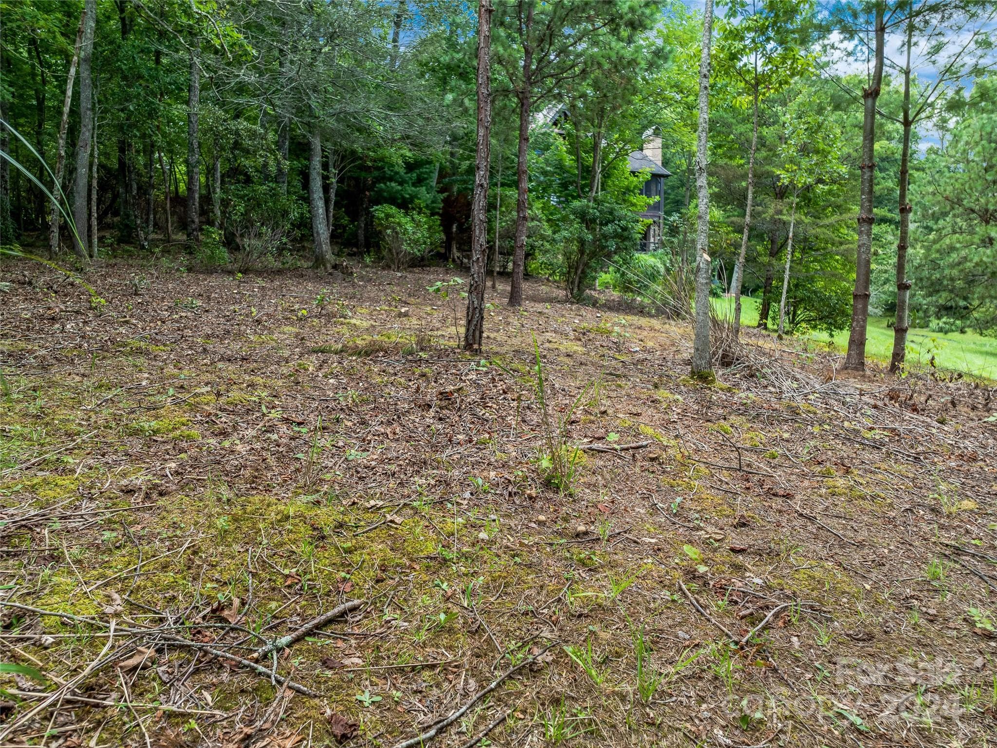 Lot at Arden, photo 26 of 33