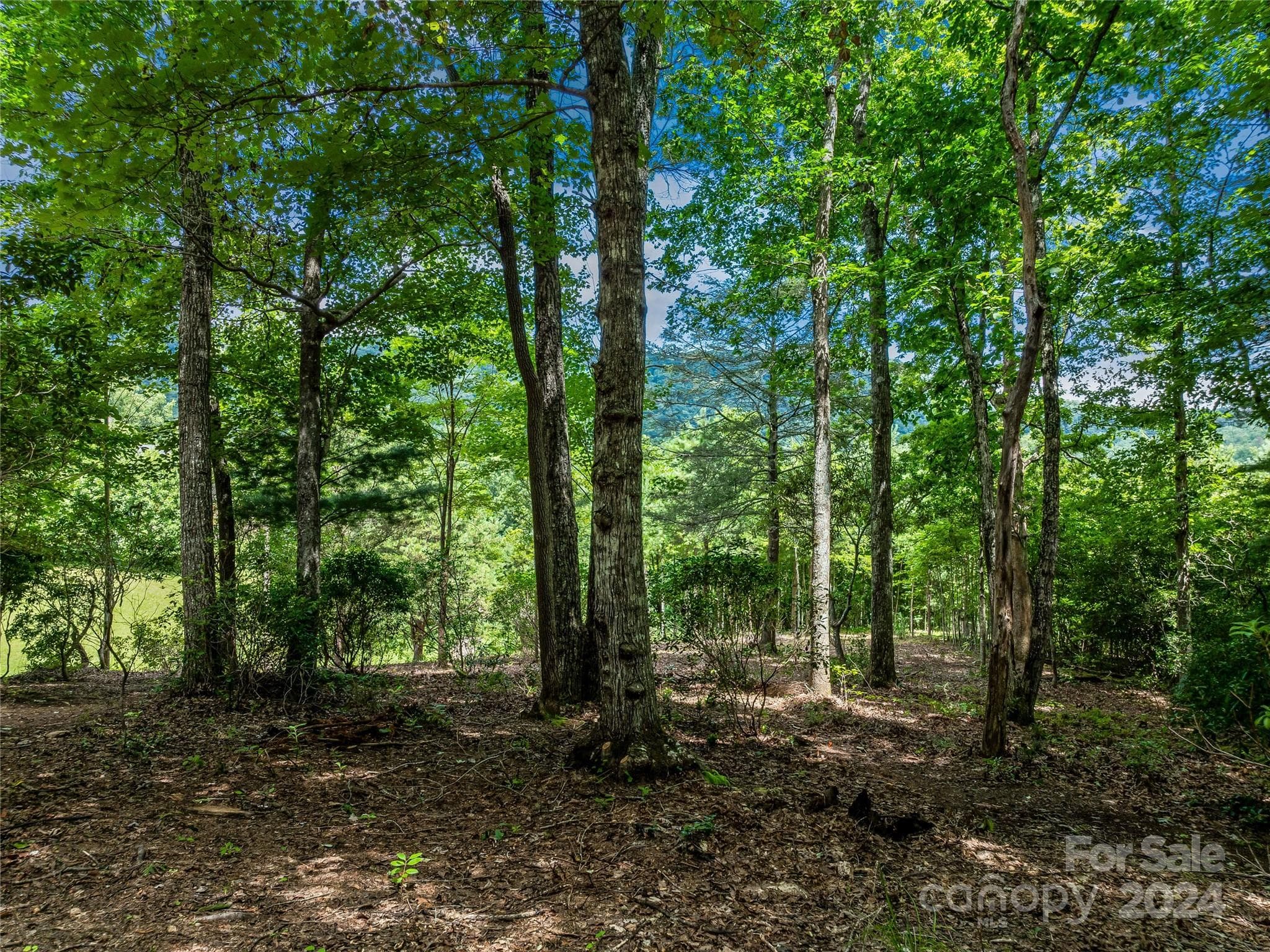 Lot at Arden, photo 27 of 33