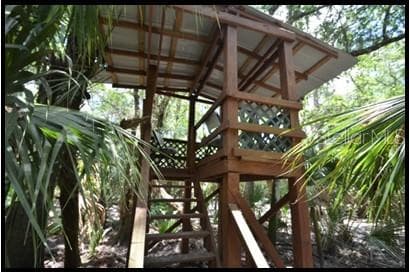 Hunting Stand - 7019 CROOKED CREEK LN, ZOLFO SPRINGS