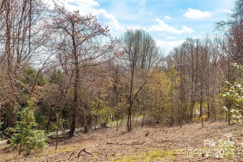 Lot at 000 BERRY CREEK Drive, Flat Rock, photo 7 of 10