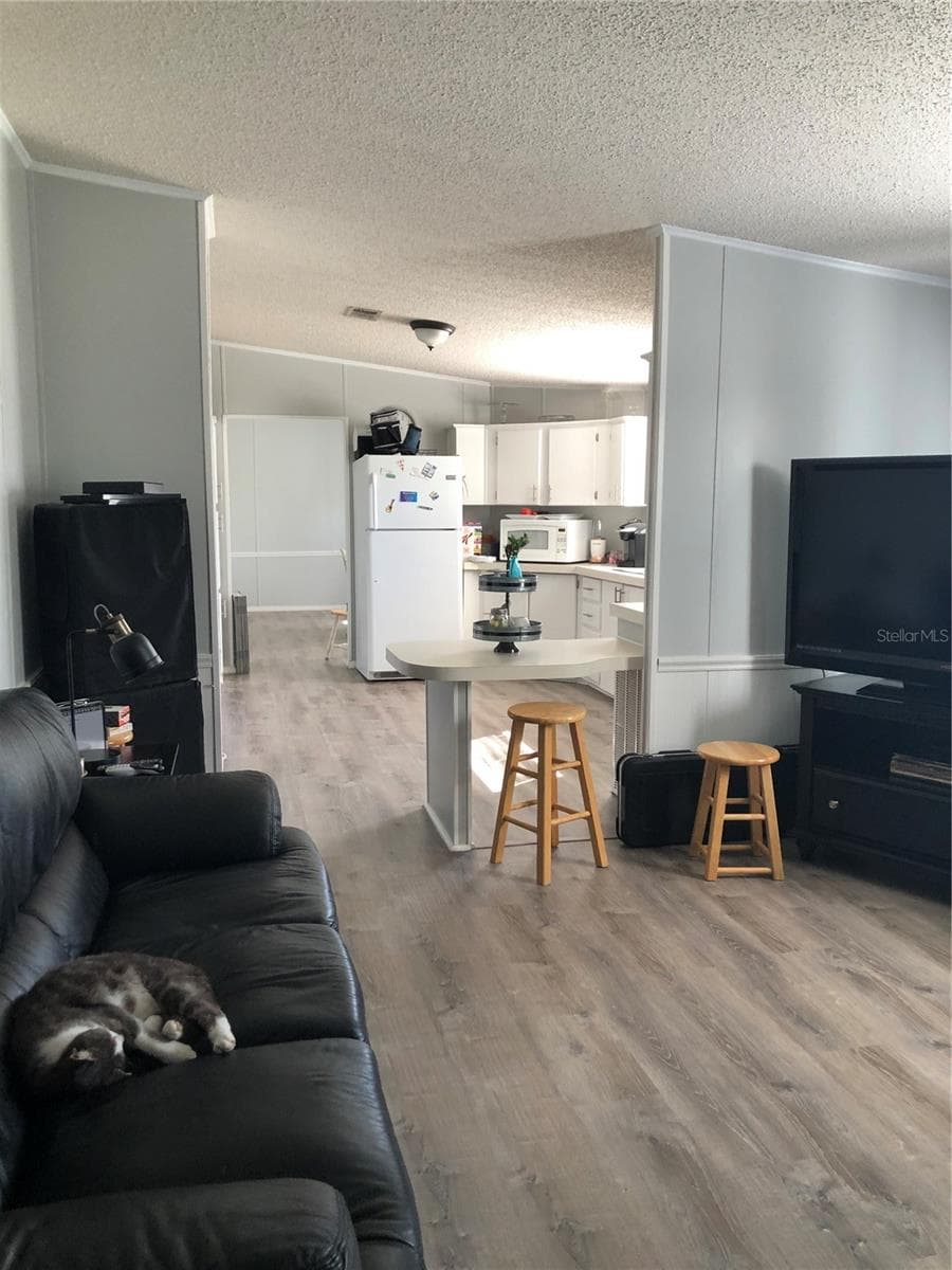 Family room to Kitchen - 30340 BAYLOR LN, WESLEY CHAPEL