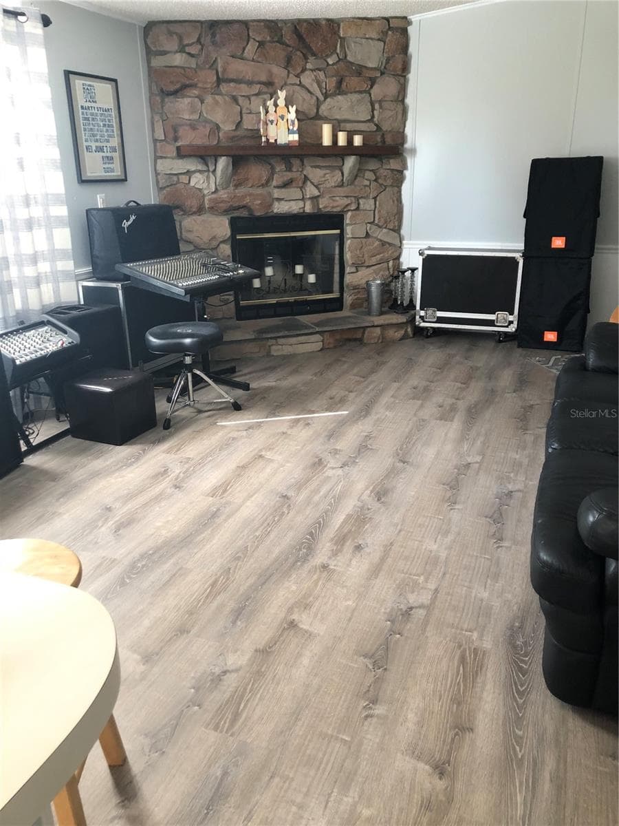Family room with Fireplace - 30340 BAYLOR LN, WESLEY CHAPEL