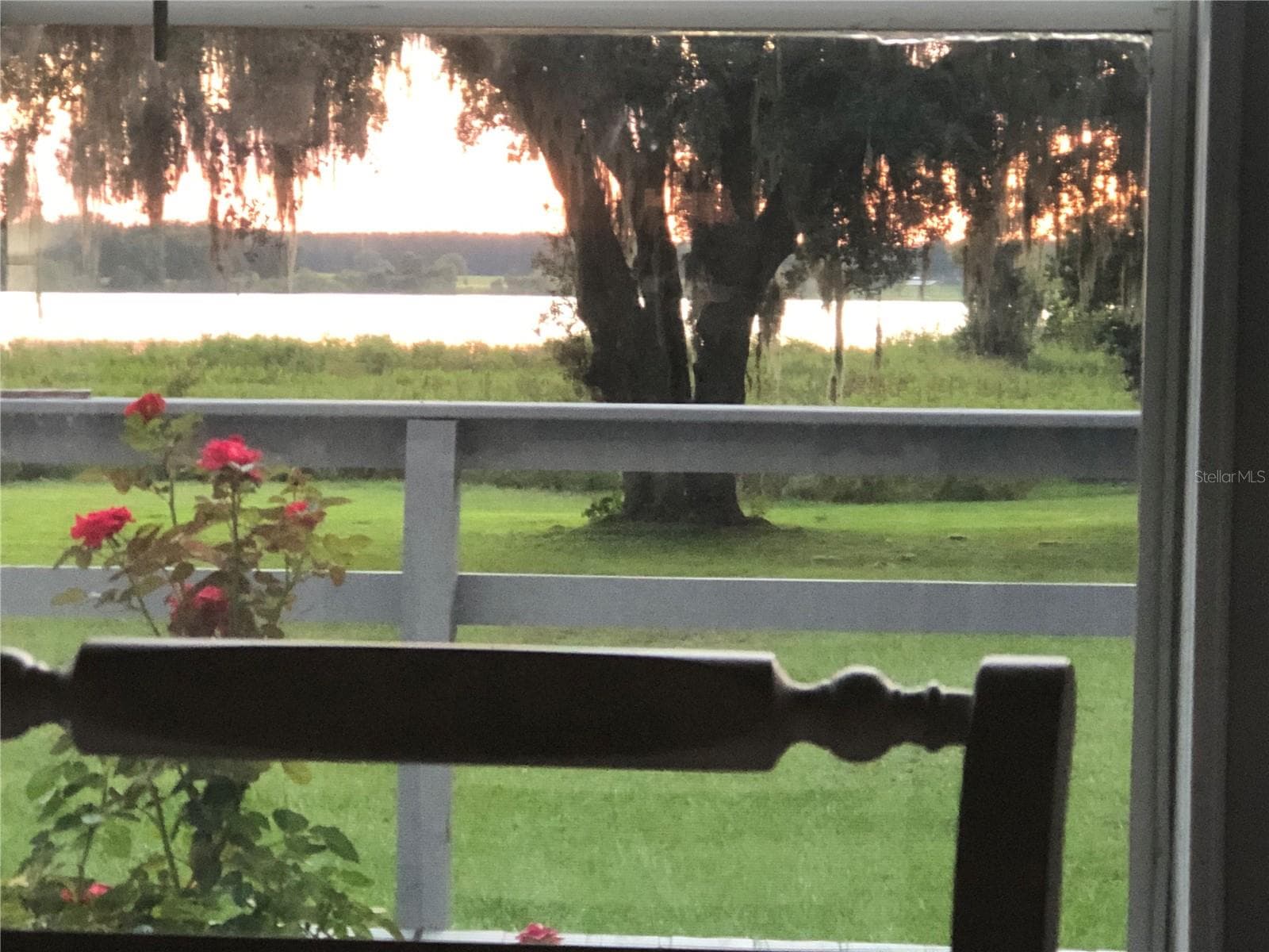 view from dining room table - 30340 BAYLOR LN, WESLEY CHAPEL