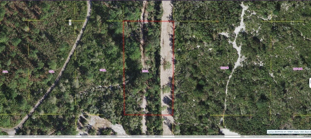 HOLOPAW GROVES RD