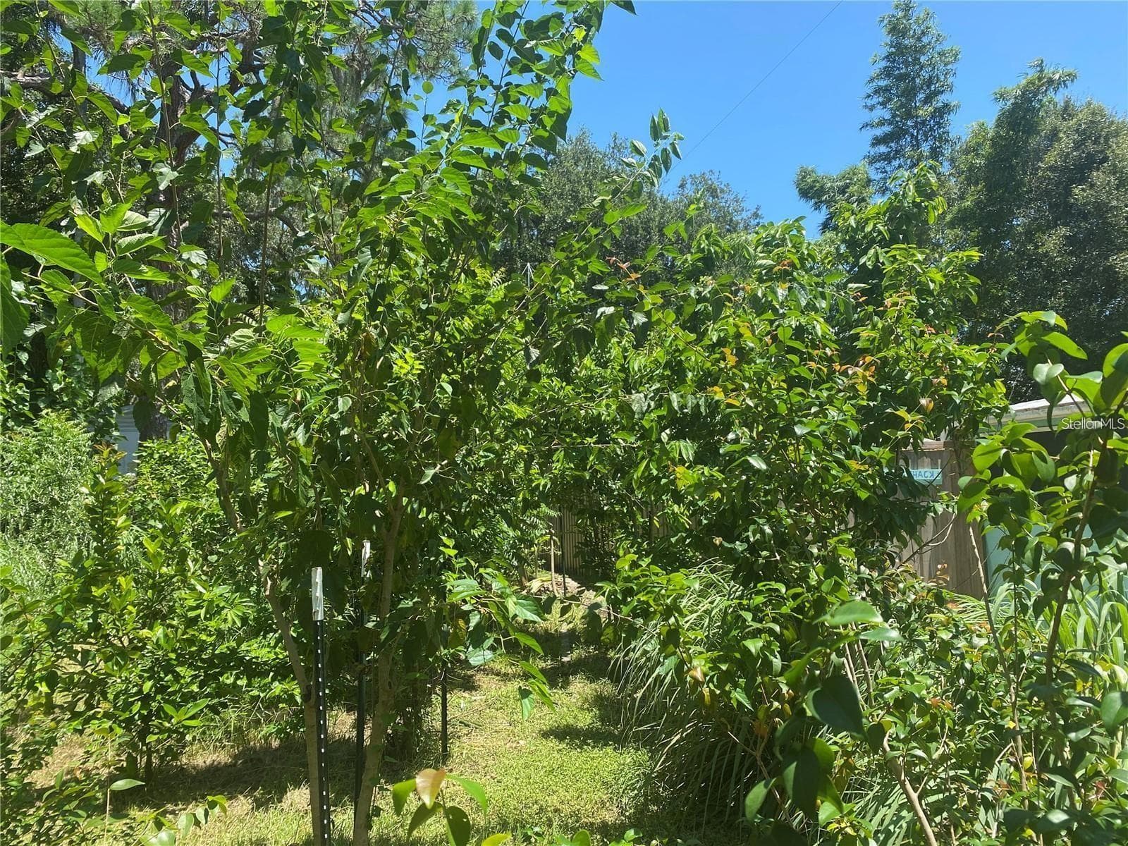 Land at 456 WASHINGTON AVE, OSPREY, photo 5 of 7
