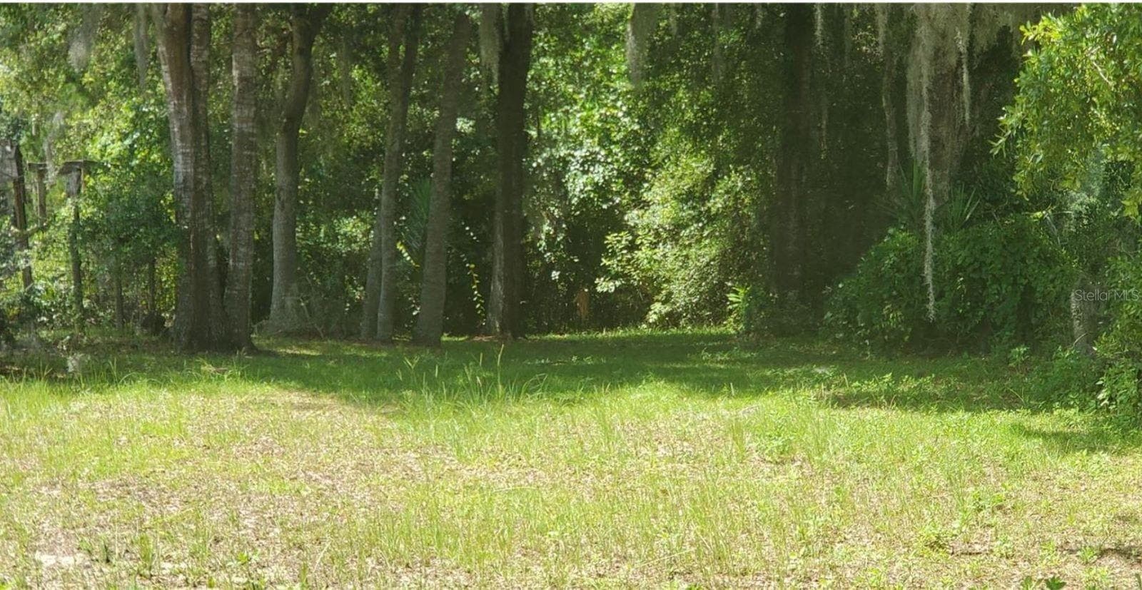 Land at 00 W HIGHWAY 40, DUNNELLON, photo 7 of 18