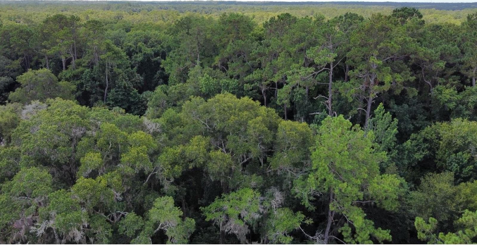 Land at 00 W HIGHWAY 40, DUNNELLON, photo 10 of 18