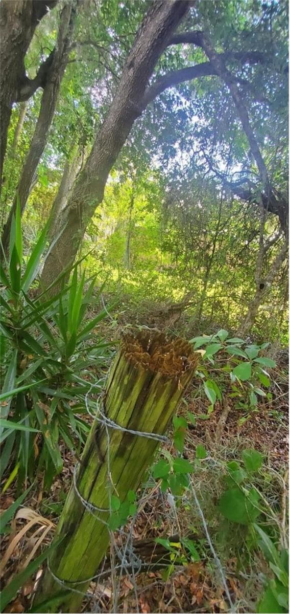 Land at 00 W HIGHWAY 40, DUNNELLON, photo 13 of 18
