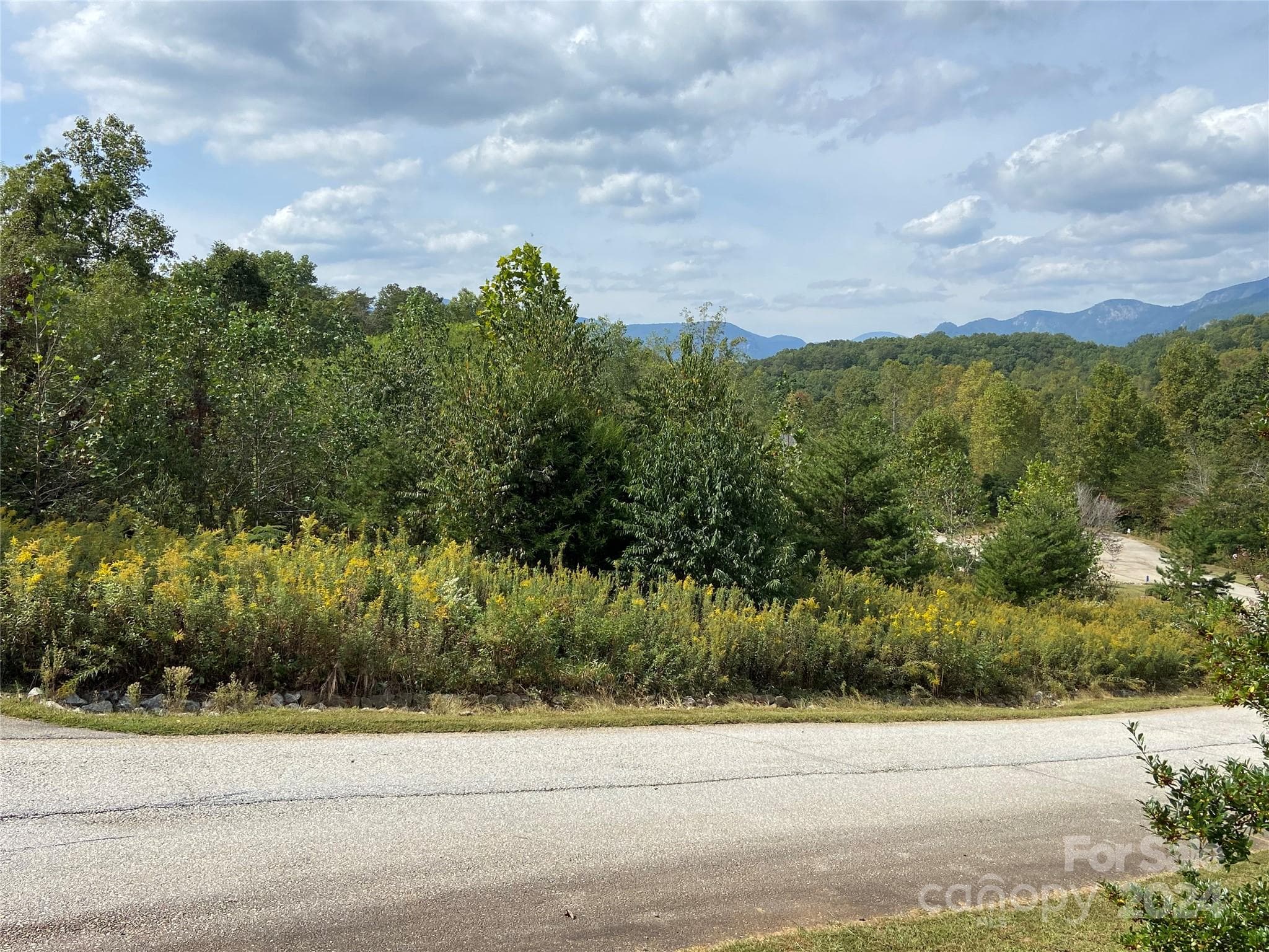 gentle build site - Lake Lure