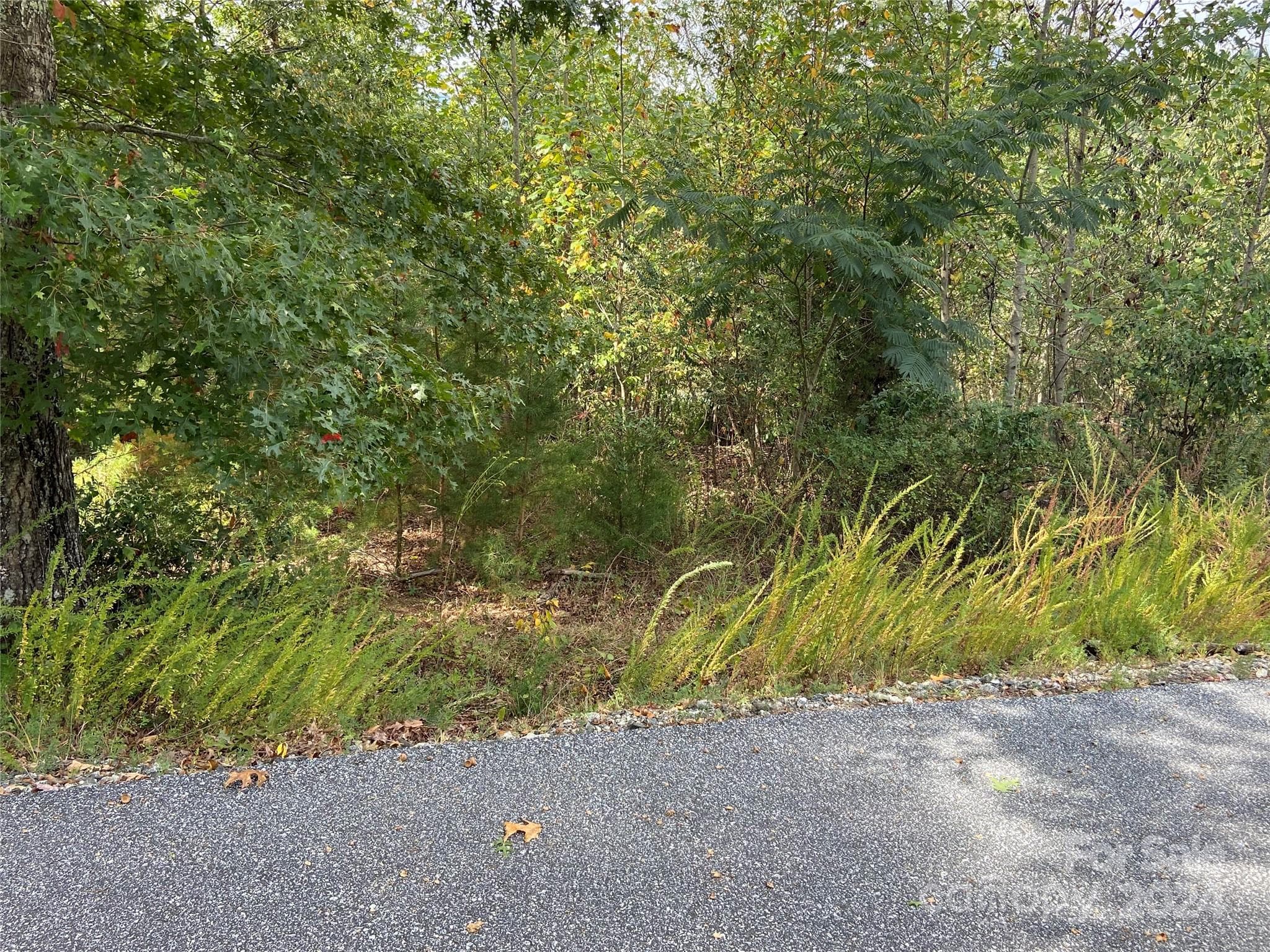 Lot at Lake Lure, photo 4 of 12