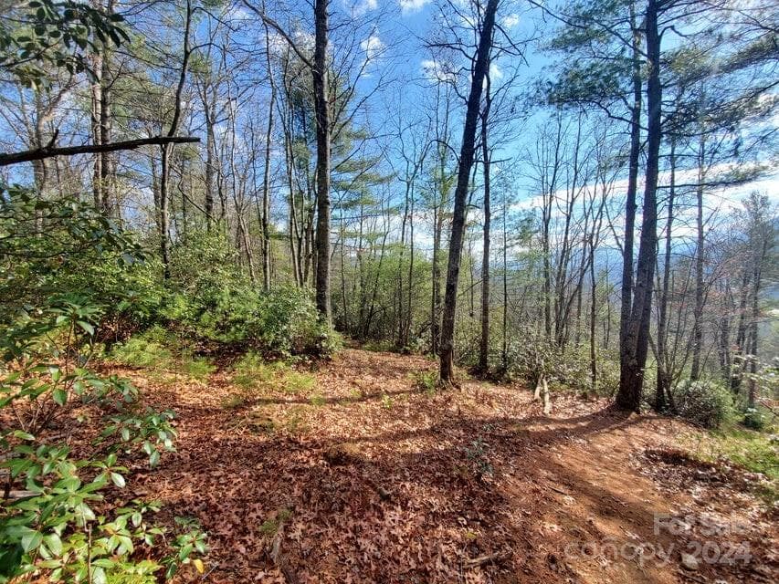 Lot at Bakersville, photo 2 of 7